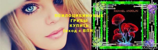 стафф Пролетарск